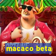 macaco beta