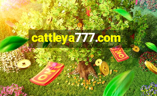 cattleya777.com