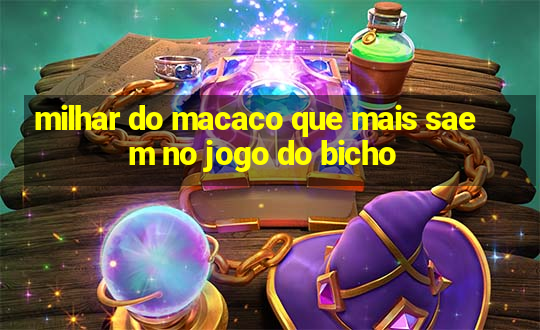 milhar do macaco que mais saem no jogo do bicho