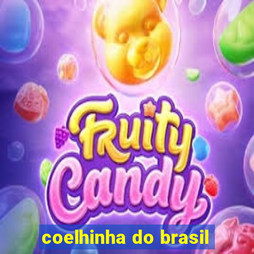 coelhinha do brasil