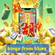 bingo from bluey