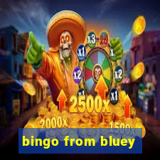 bingo from bluey