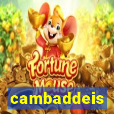 cambaddeis