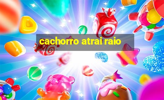 cachorro atrai raio