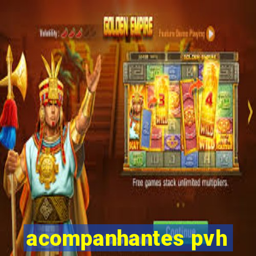 acompanhantes pvh