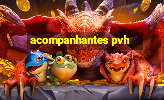 acompanhantes pvh