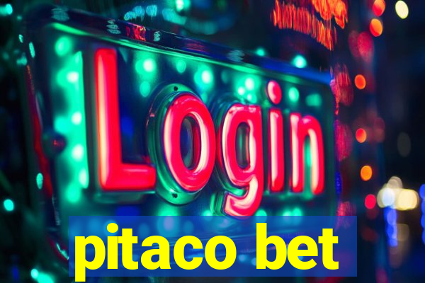 pitaco bet