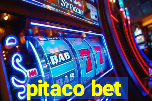 pitaco bet