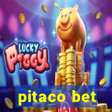 pitaco bet