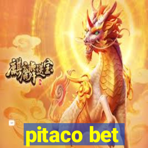 pitaco bet