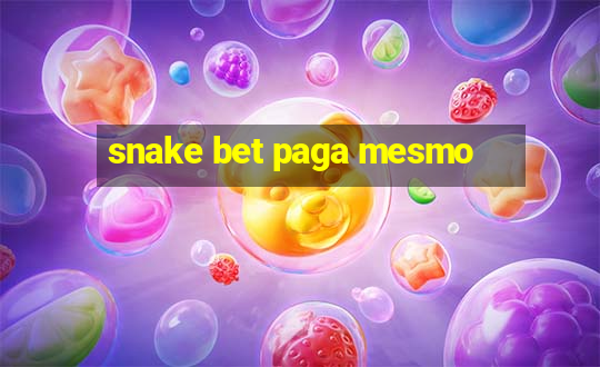 snake bet paga mesmo