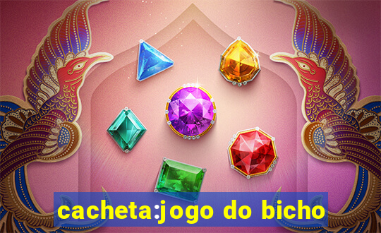 cacheta:jogo do bicho