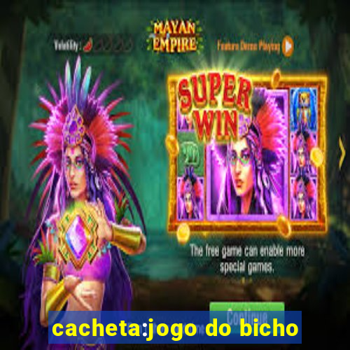 cacheta:jogo do bicho