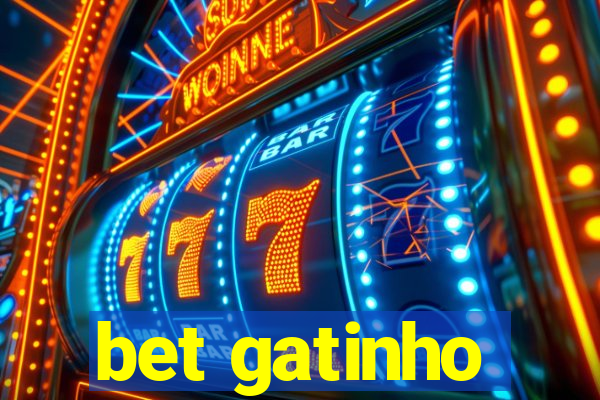 bet gatinho