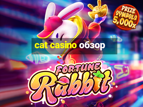 cat casino обзор