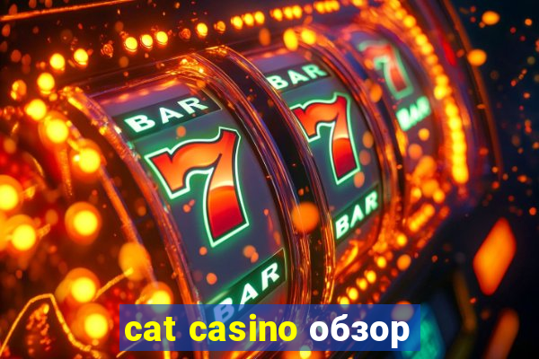 cat casino обзор