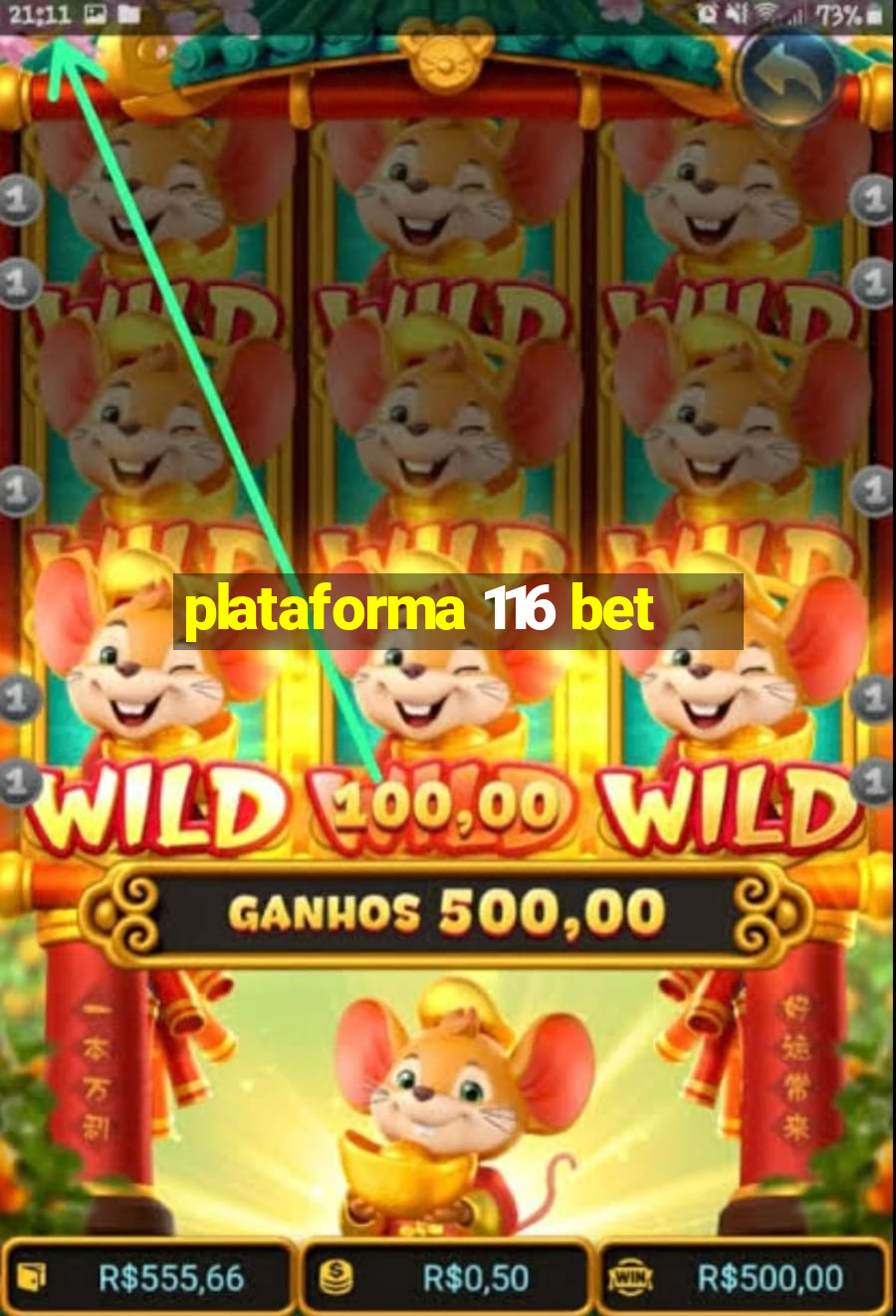 plataforma 116 bet