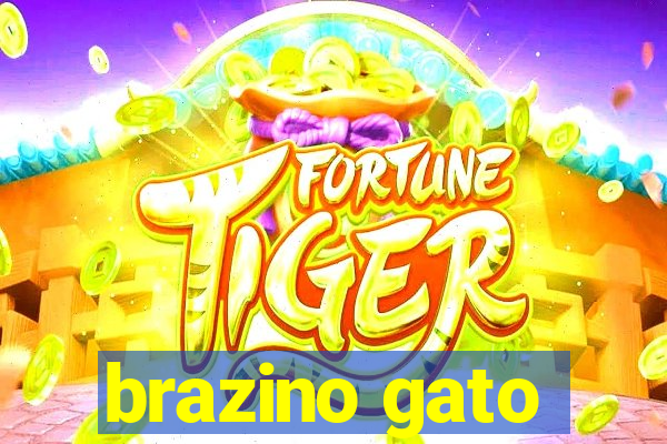 brazino gato