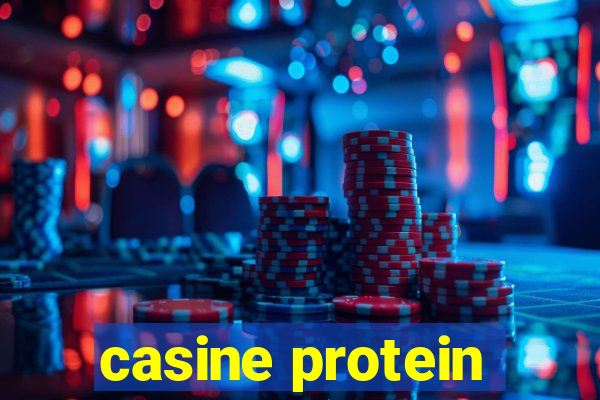 casine protein