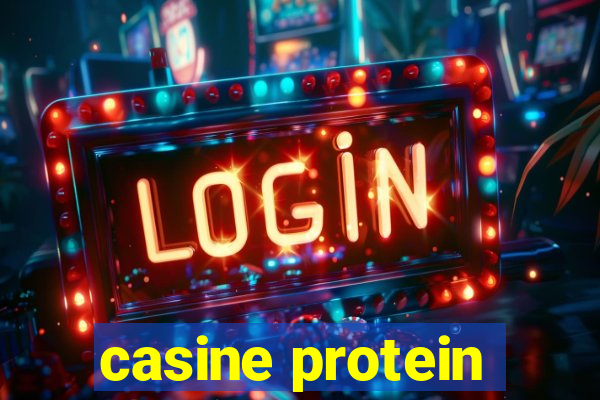 casine protein