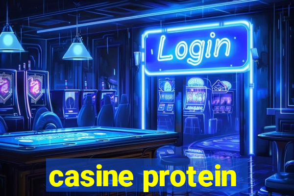 casine protein