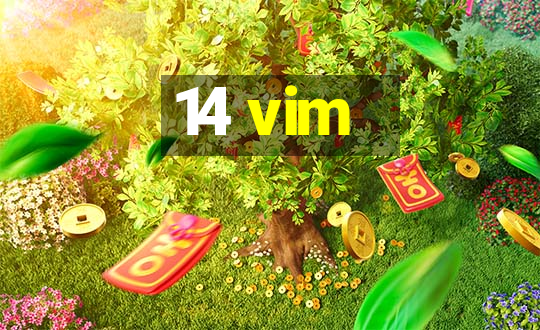 14 vim