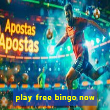 play free bingo now