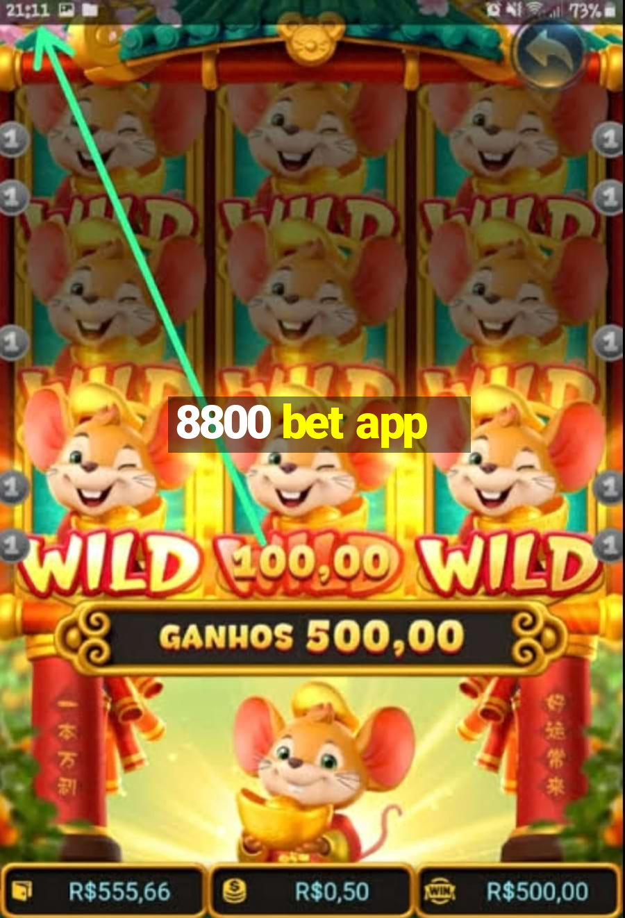 8800 bet app