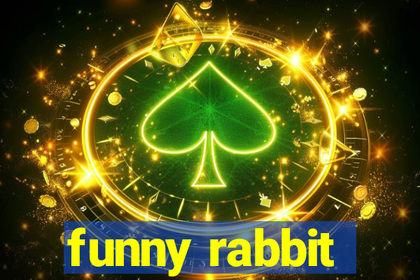 funny rabbit