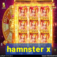 hamnster x