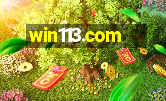 win113.com