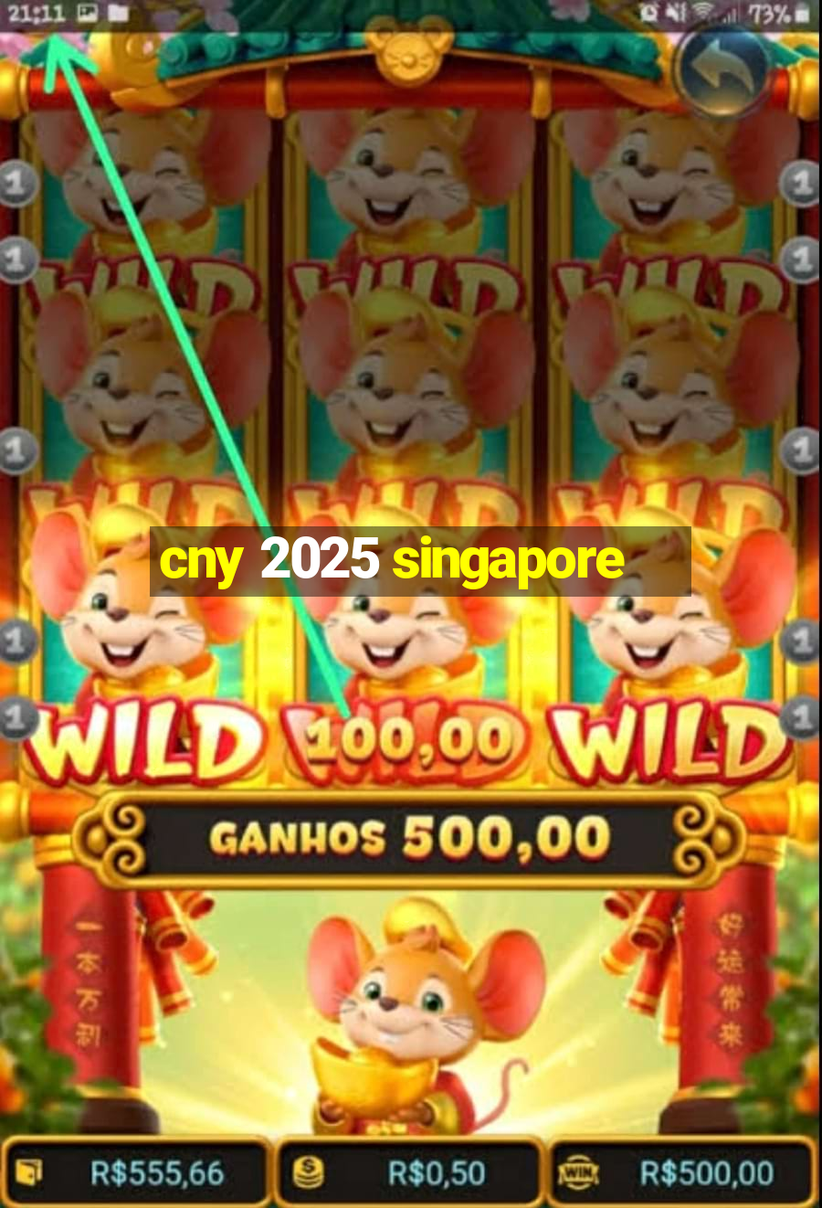 cny 2025 singapore