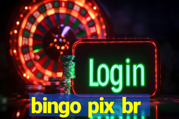 bingo pix br