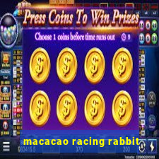 macacao racing rabbit