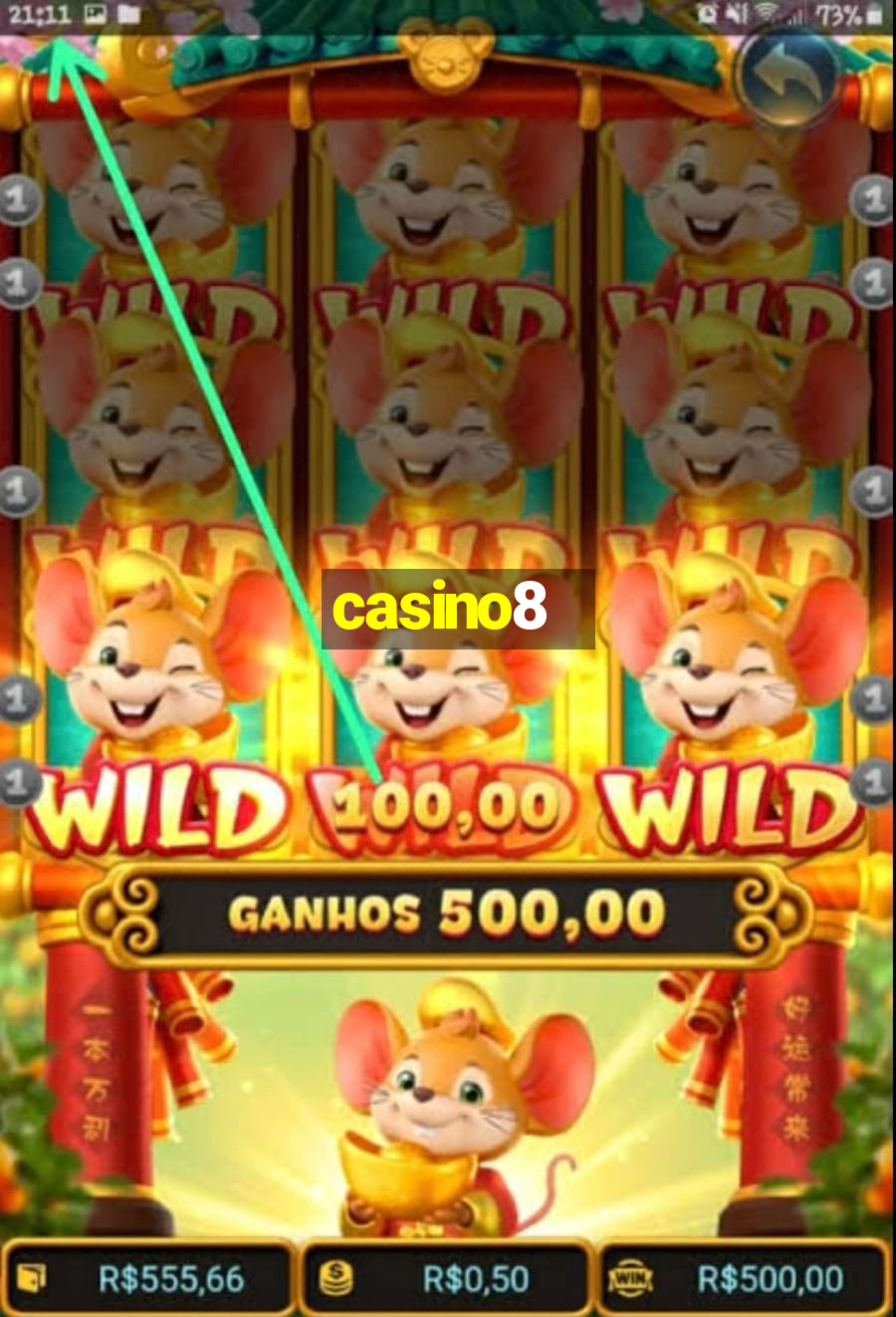 casino8