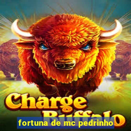 fortuna de mc pedrinho