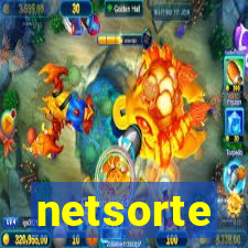 netsorte