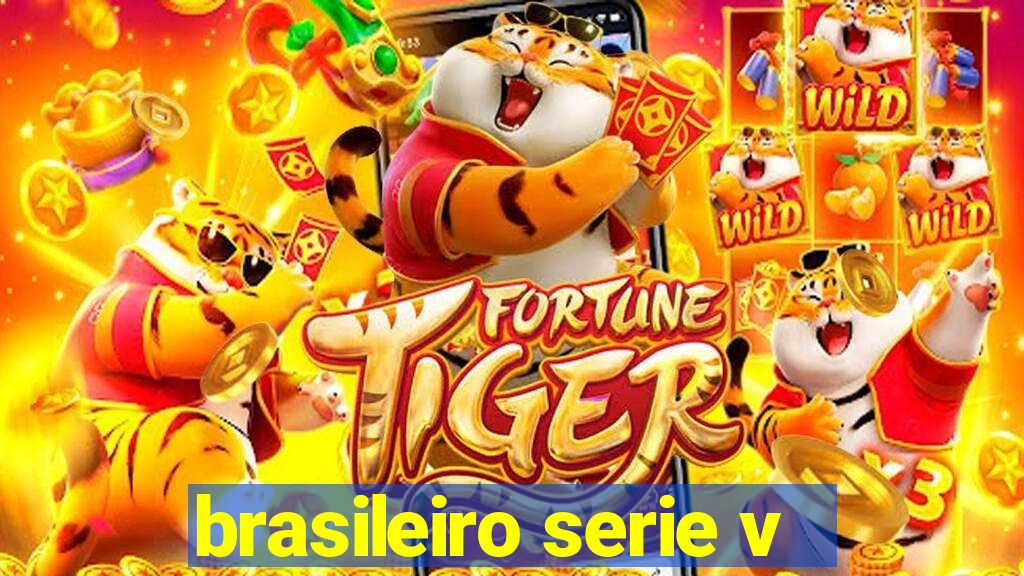 brasileiro serie v