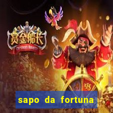 sapo da fortuna feng shui