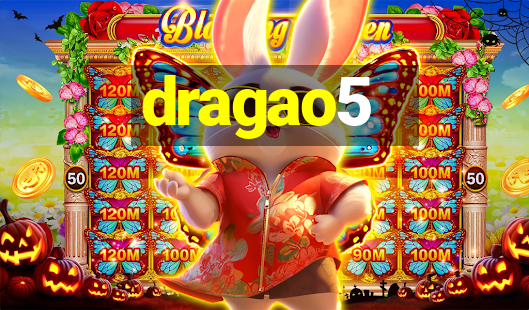 dragao5