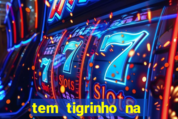 tem tigrinho na bet 365