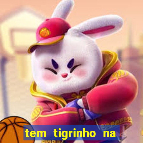 tem tigrinho na bet 365