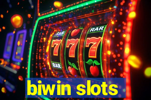 biwin slots