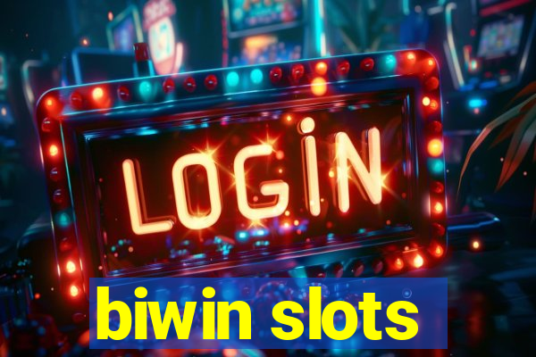 biwin slots