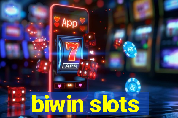 biwin slots