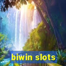 biwin slots