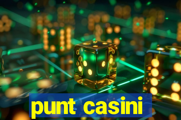 punt casini