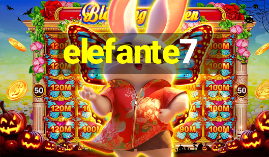 elefante7