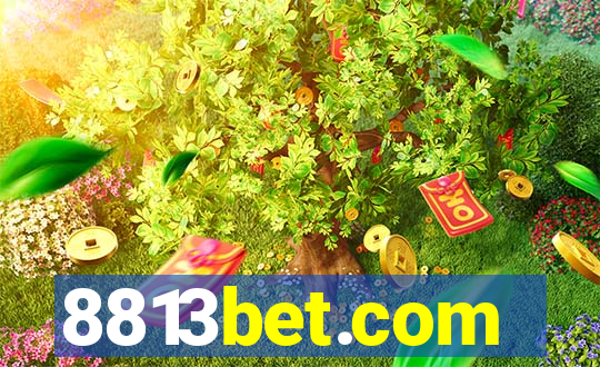 8813bet.com