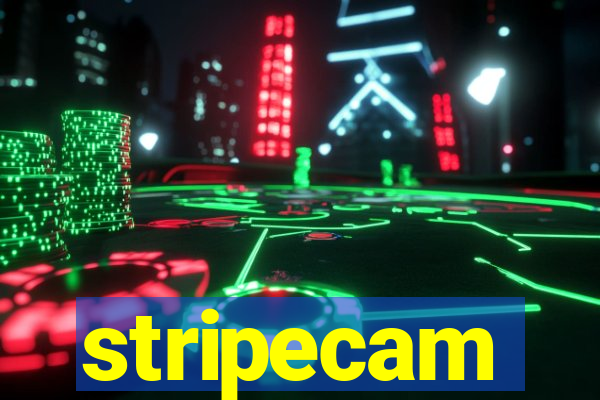 stripecam